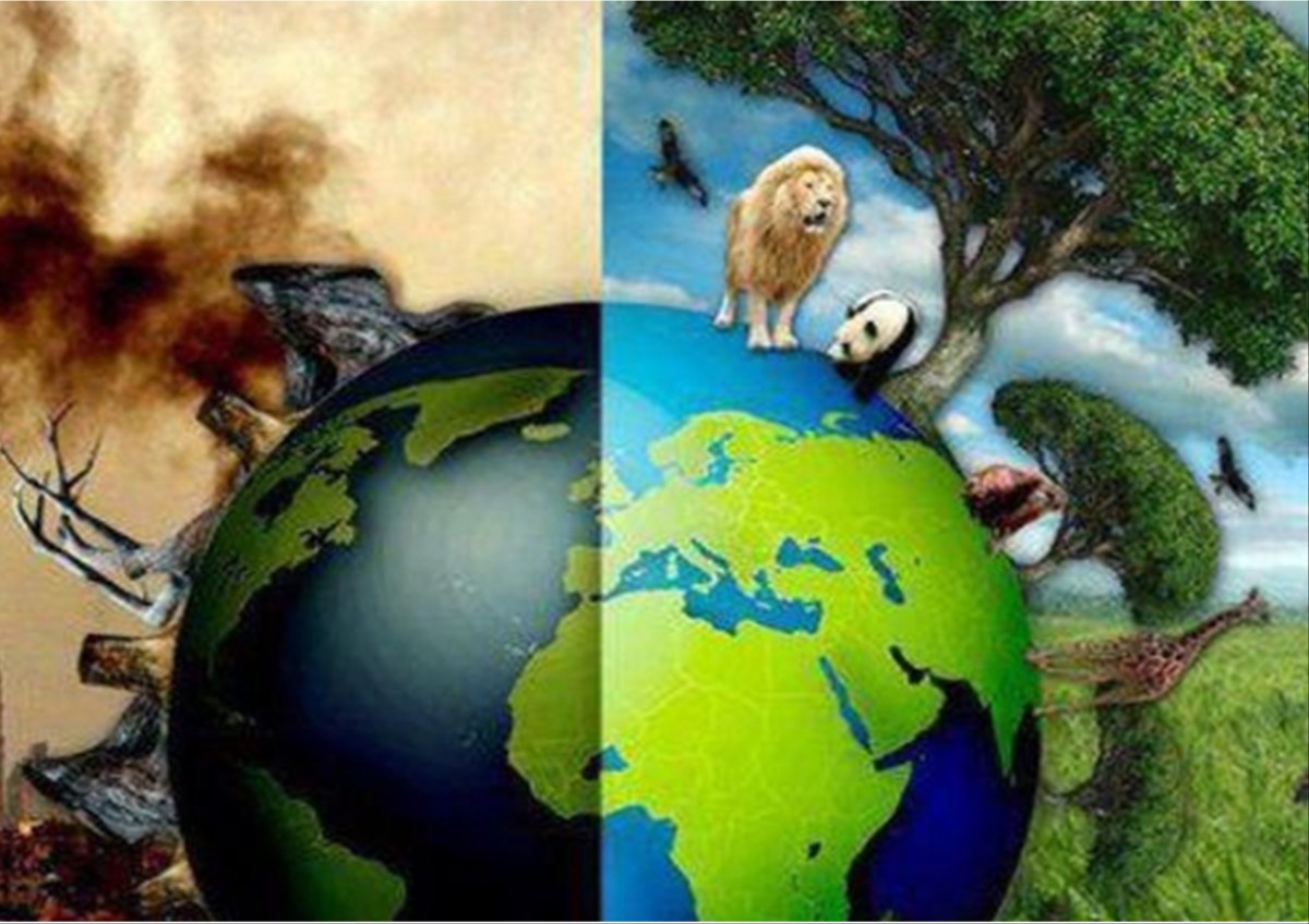 La questione ambientale